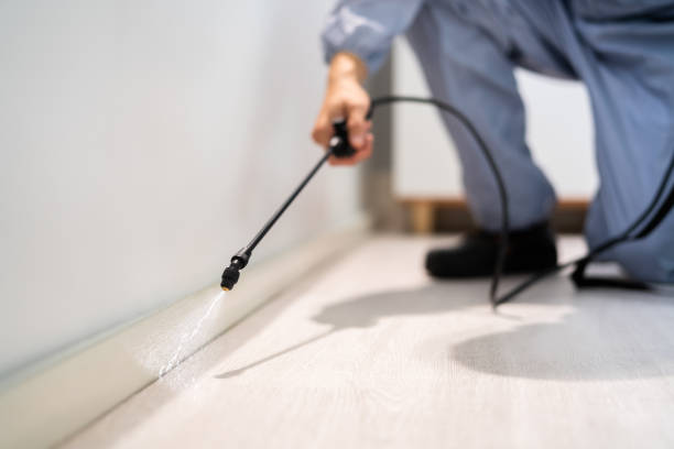 Licensed Pest Control service in Seagoville, TX - Show Me Pest Control