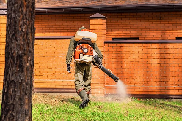 Bed Bug Clearance Verification and Documentation in Seagoville
